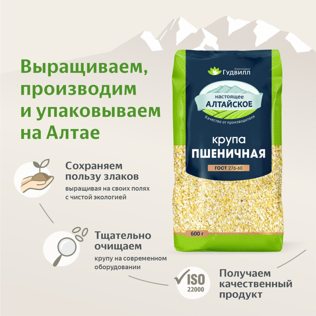 Пшеничная крупа 600 гр. Алтайские крупы - Интернет-магазин