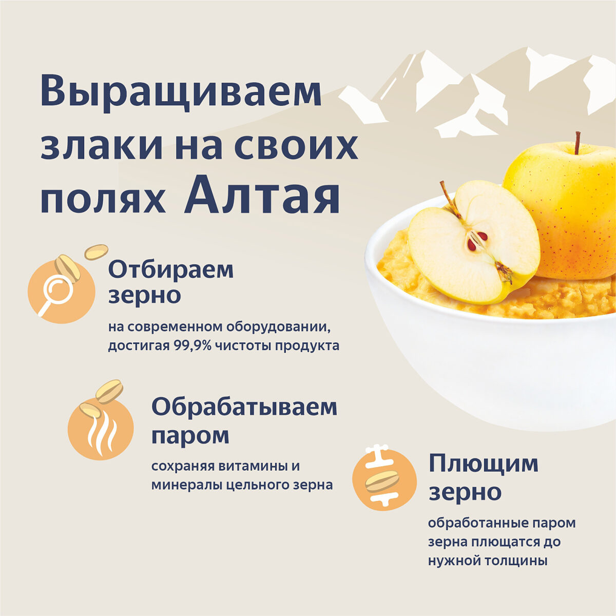 Хлопья пшенно-кукурузные с яблоком 40 гр. Алтайские каши - Интернет-магазин